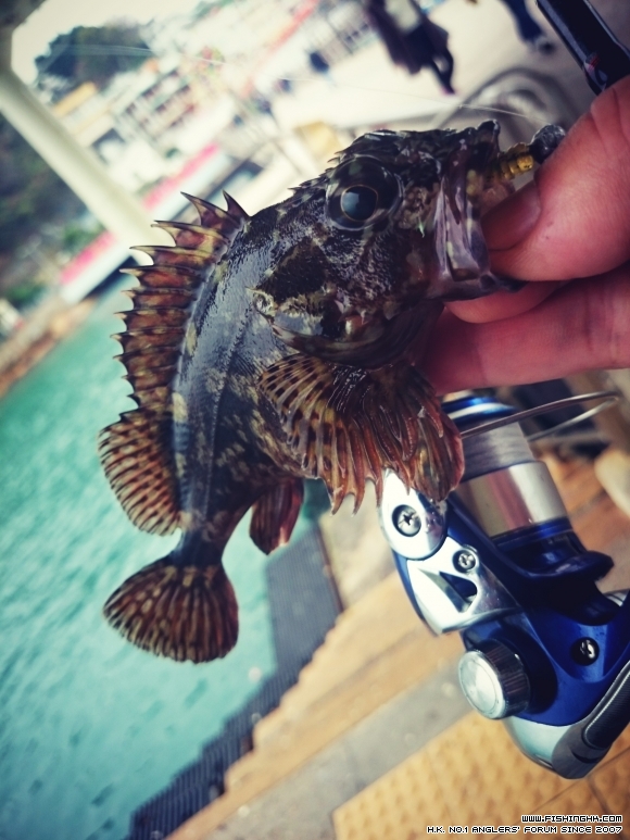 2016-02-21 15.43.29.jpg