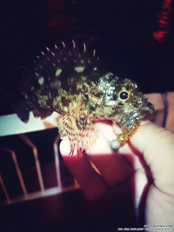 2016-02-08 20.36.47.jpg