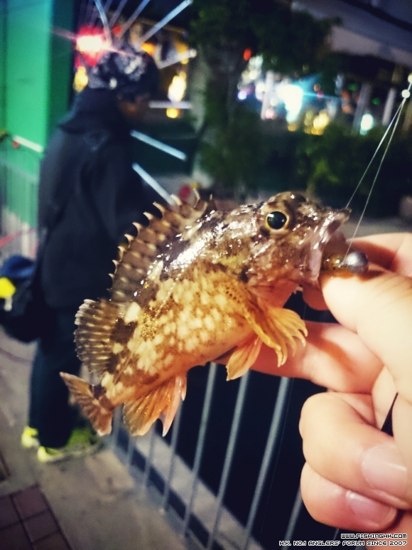 2016-02-05 21.54.05.jpg