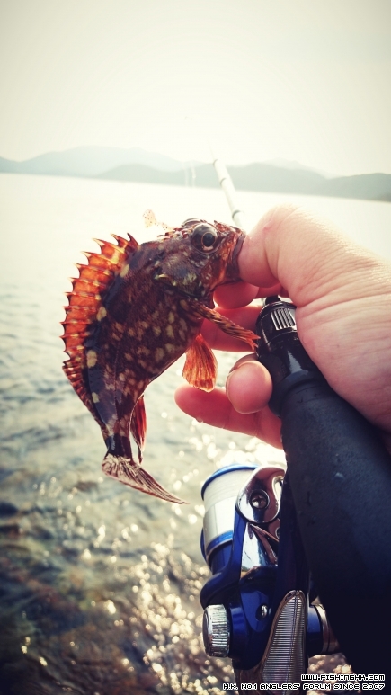 2016-03-06 15.40.38.jpg