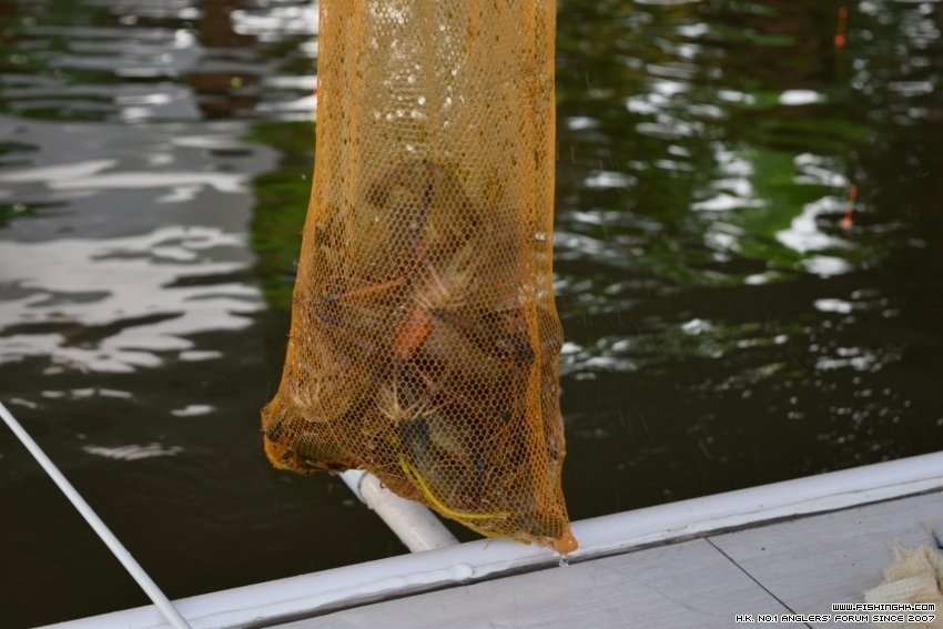 shrimp fishing 0010.JPG