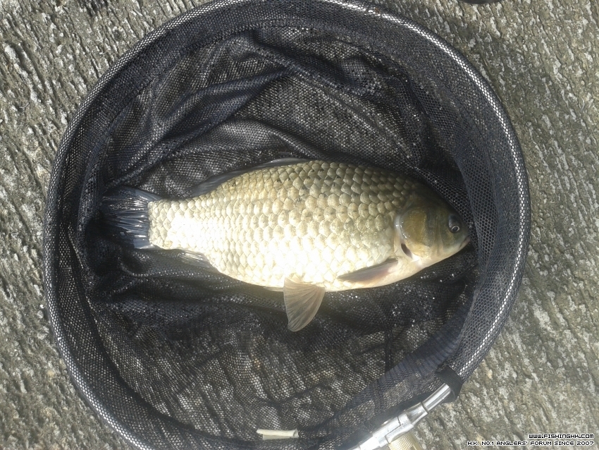 20160604_091648.jpg