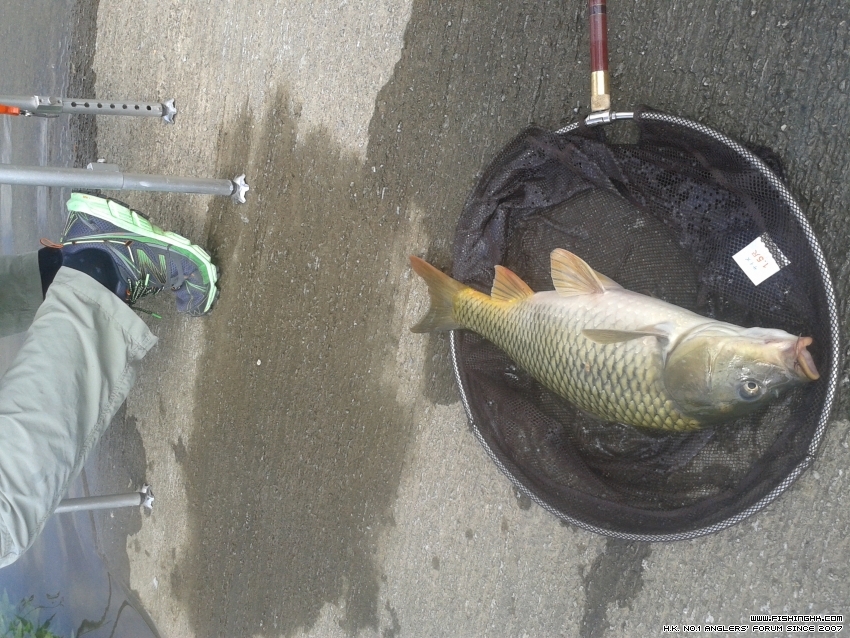 20160604_093144.jpg
