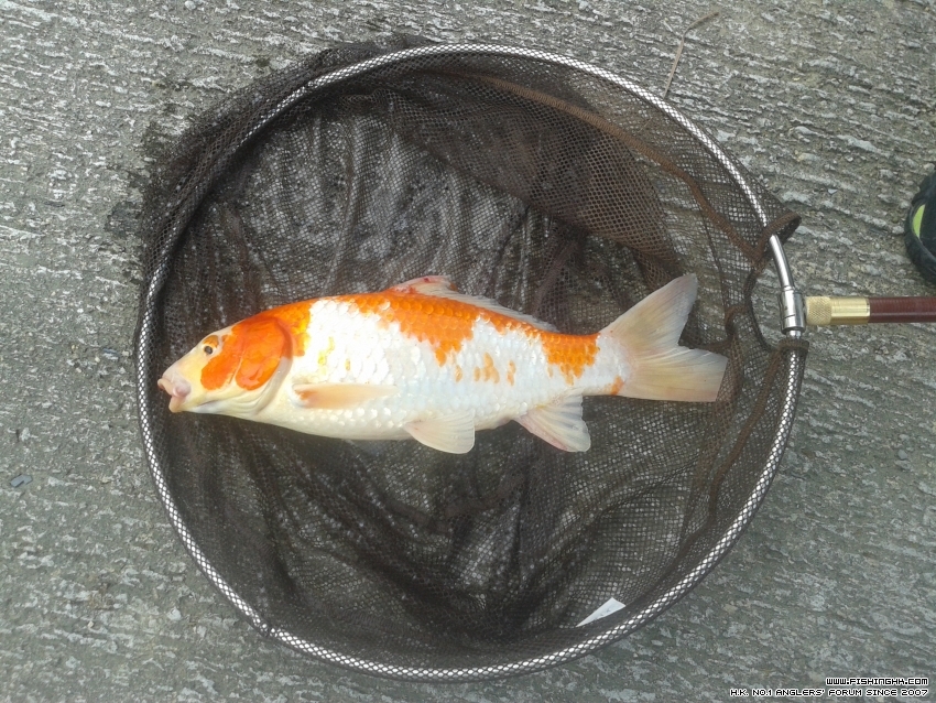 20160604_112305.jpg