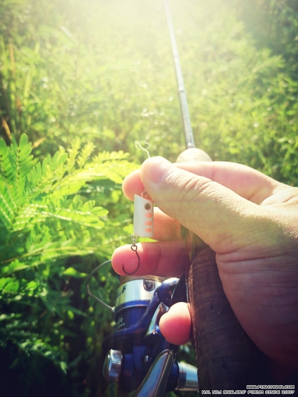 2016-07-24 17.03.47.jpg