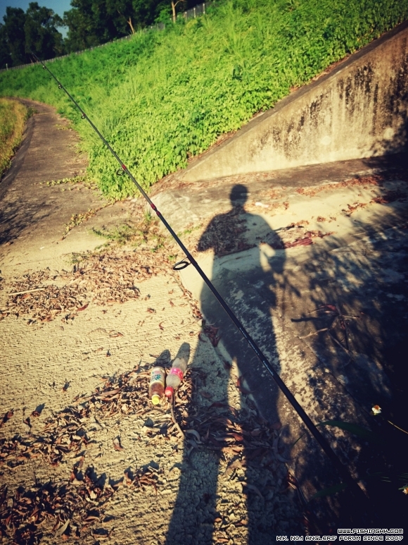 2016-07-24 17.53.06.jpg