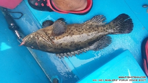20160911_131605.jpg