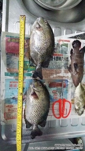 20161218_190126.jpg