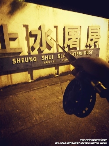 C360_2016-12-17-19-32-05-917.jpg