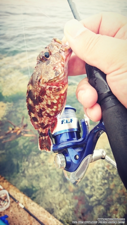 2016-04-02 15.49.17-1.jpg