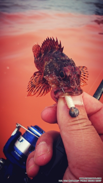 2016-04-02 16.15.25-1.jpg