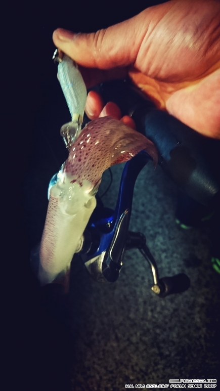 2016-04-02 20.36.06-1.jpg