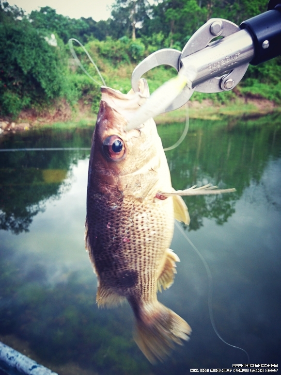 2016-04-24 15.18.59-1.jpg