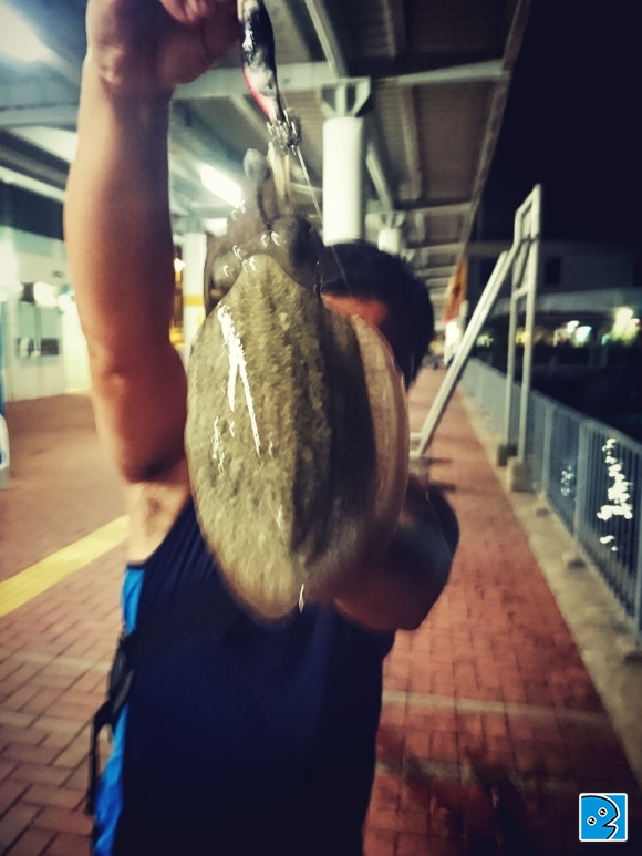 2016-09-13 23.56.14.jpg