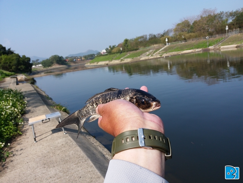 20170402_091124.jpg