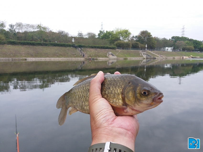 20170408_095211.jpg