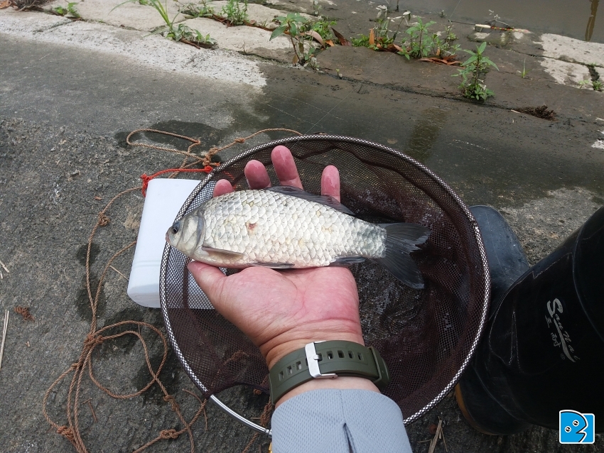 20170414_105441.jpg