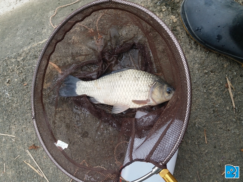 20170414_125046.jpg