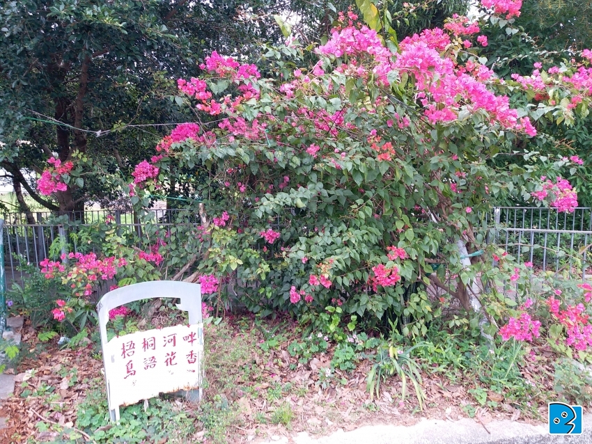 20170422_084750.jpg