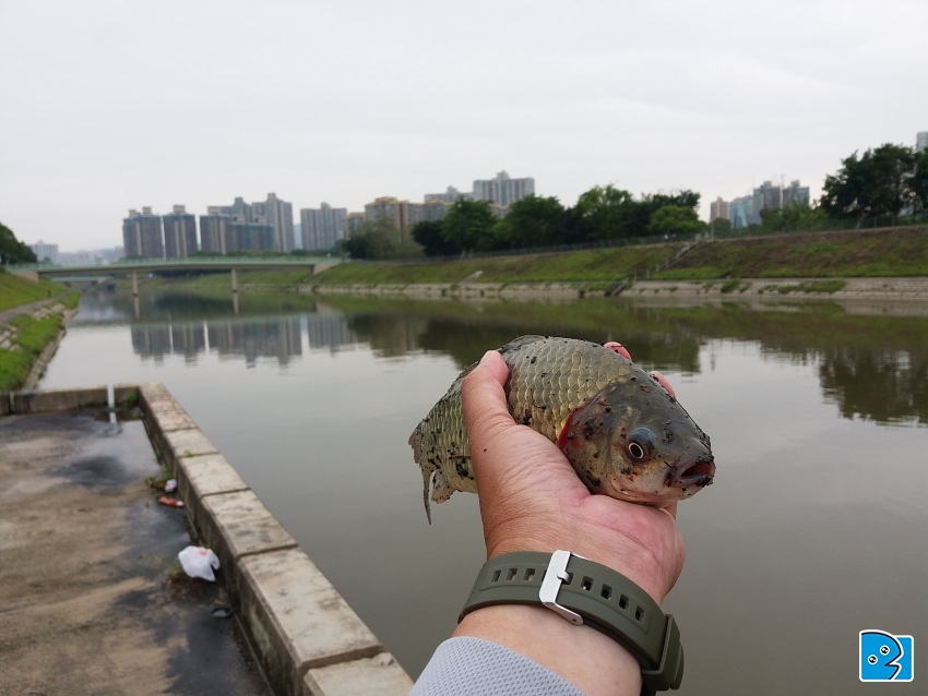20170422_142655.jpg