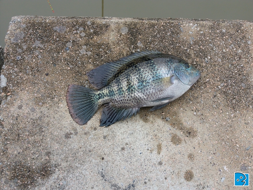 20170422_150643.jpg
