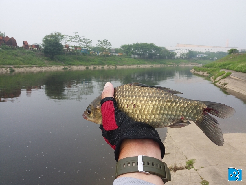 20170510_091423.jpg