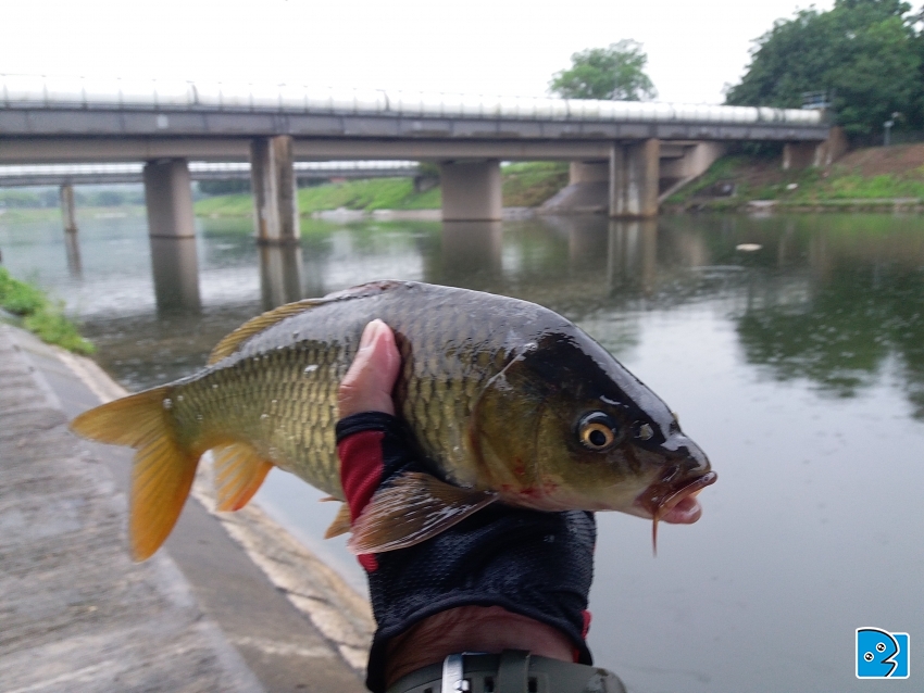 20170513_165936.jpg
