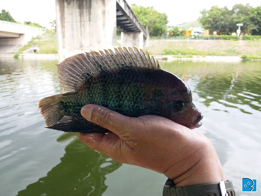 20170604_122722.jpg