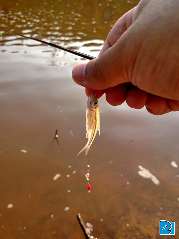 2017-10-22 16.08.33-1.jpg