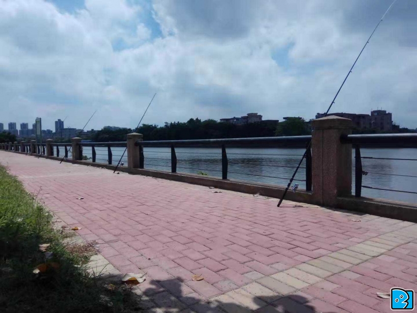 ca0f59564b07f528366440351402525.jpg