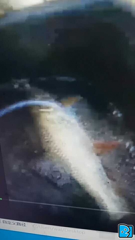 6c00d9b405fd692d51f0cd99fdb6852.jpg