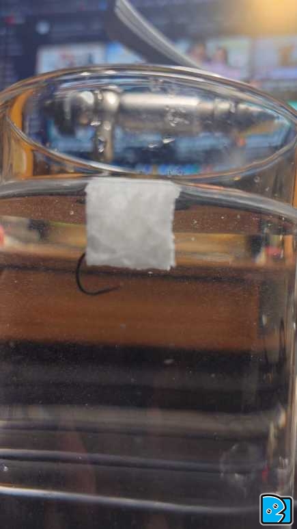 20221203_034317.JPG