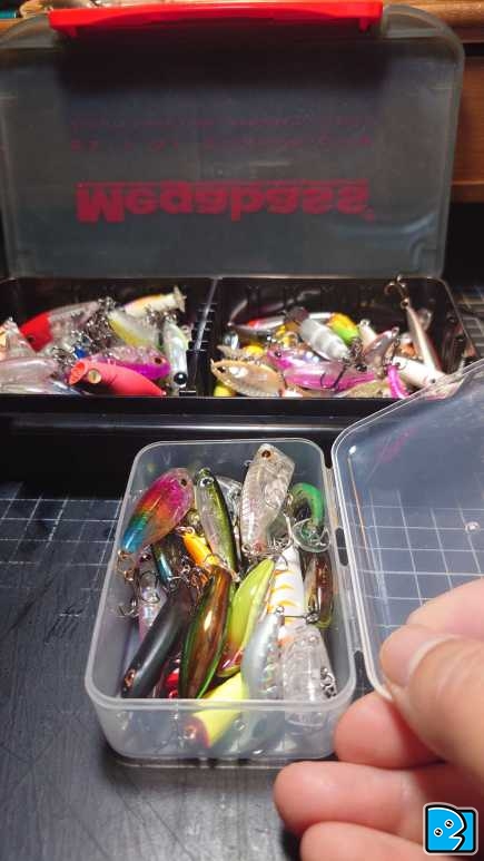 20230410_114355.JPG