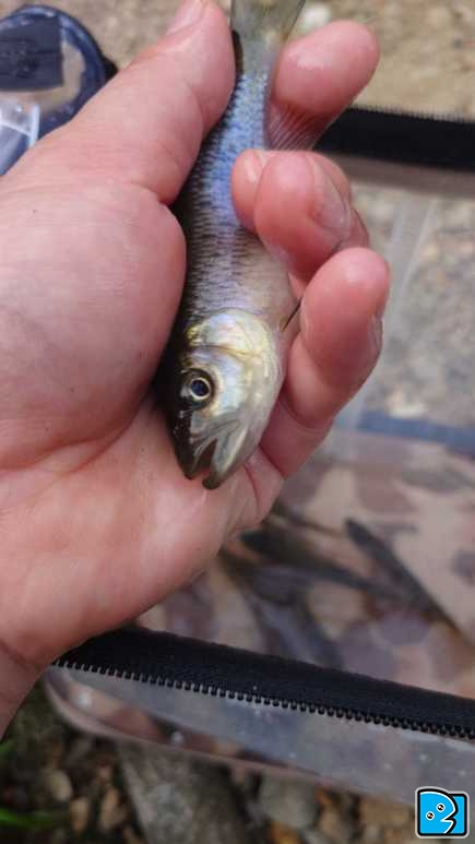 20230415_171432.JPG
