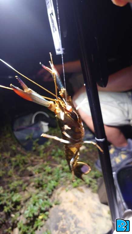 20230812_205450.JPG