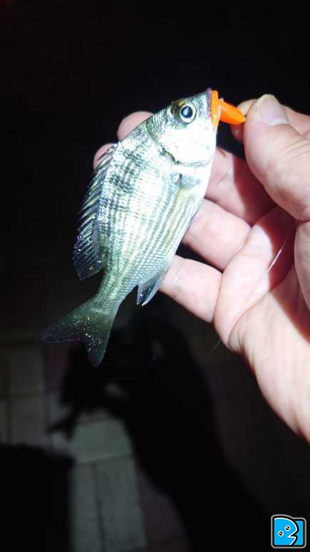 20231001_211810.JPG