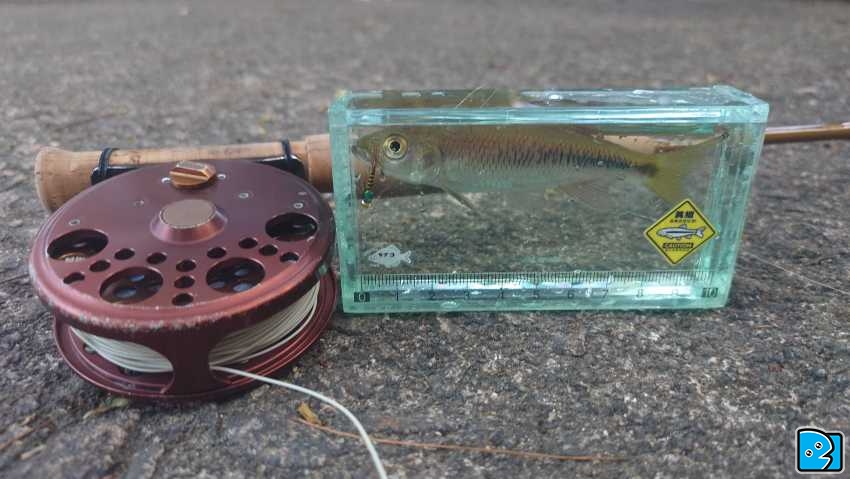 20231202_155944.JPG