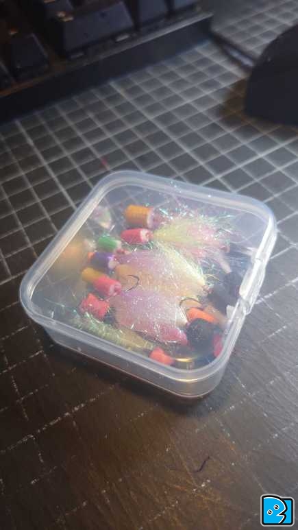 1000061509.jpg