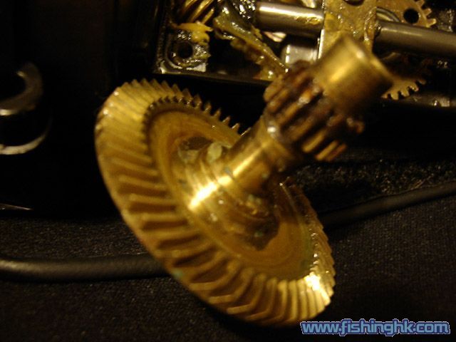 w_SANY3037.jpg