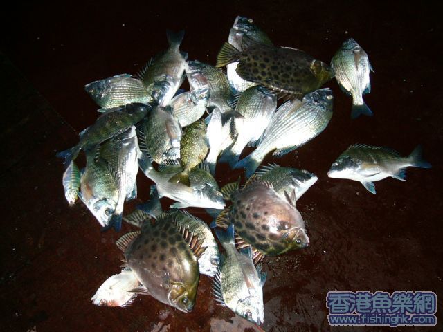 fishing_result.jpg