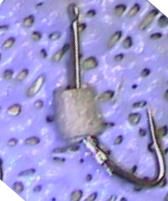 DCAM0098.JPG