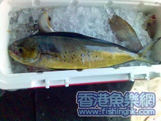 照片(37).jpg