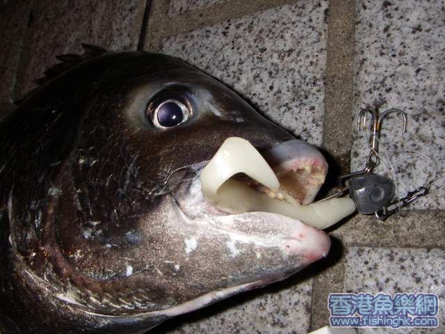 IMGP0182.JPG
