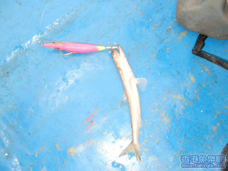 SANY0019.JPG