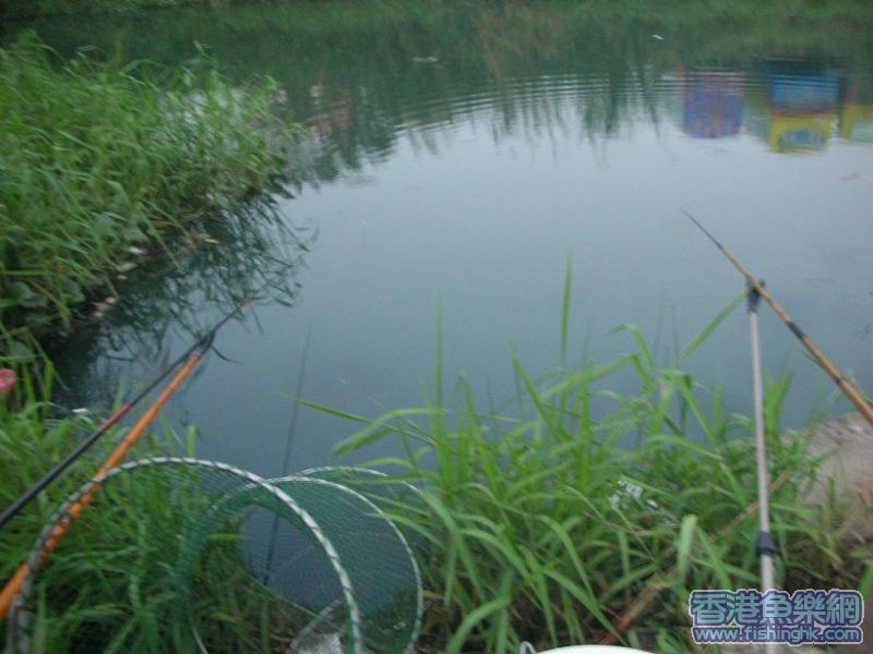 DSCN0065.JPG
