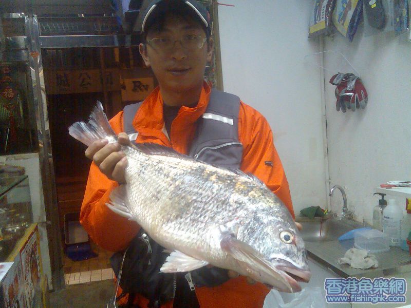 圖像248.jpg