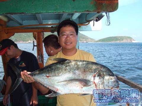 南油小牛牛