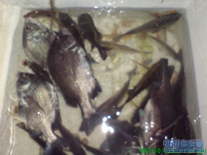 DSC00148.jpg