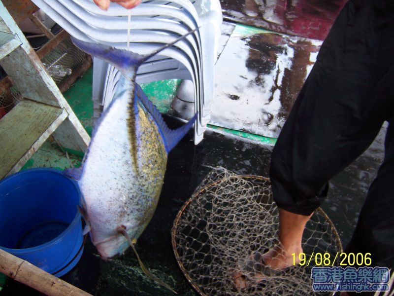 照片 008.jpg