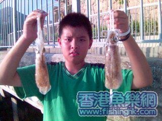 大尾魷深水灣.jpg
